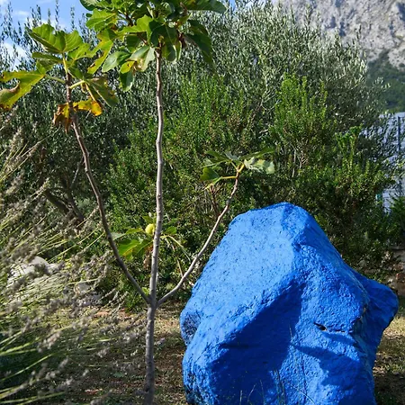 Blue Stone *