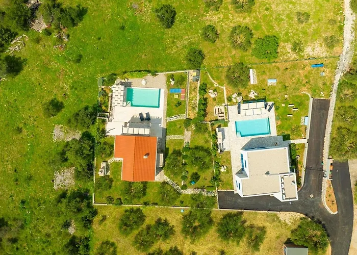 Blue Stone 자오스트로그